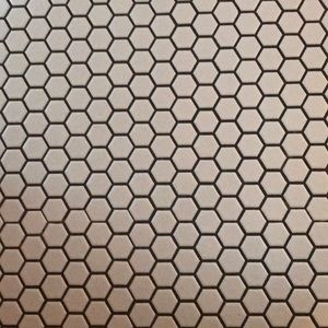 Meet your Posher, Lesley